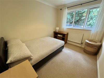 Picture 12